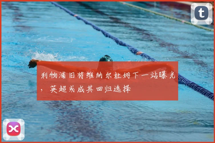 利物浦旧将维纳尔杜姆下一站曝光,英超或成其回归选择