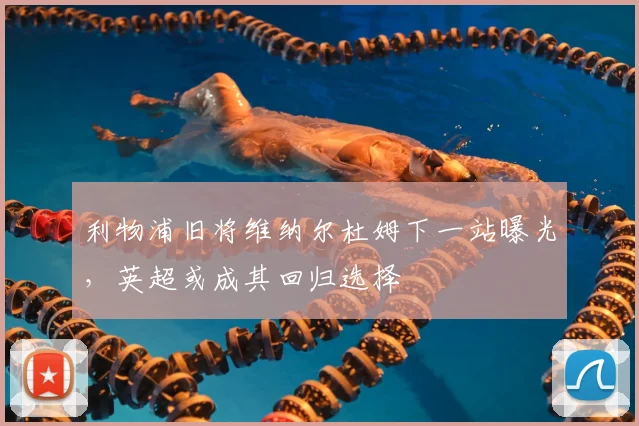 利物浦旧将维纳尔杜姆下一站曝光,英超或成其回归选择